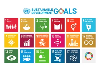 Die SDGs der United Nations