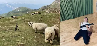 Links: Eine Herde Schwarznasenschafe. Rechts: Autorin voller Stolz die Faust gegen oben reckend